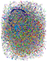 (Covid19 OR Coronavirus) AND (library OR libraries) Twitter NodeXL SNA Map and Report for Tuesday, 0