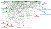 Overall Connections graph_BIIIG one.xlsx